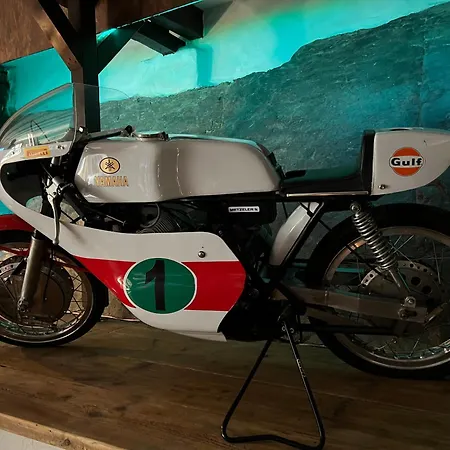 公寓 Loft In An Der Mosel 阿尔夫