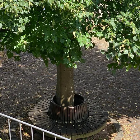 Loft In An Der Mosel Διαμέρισμα *
