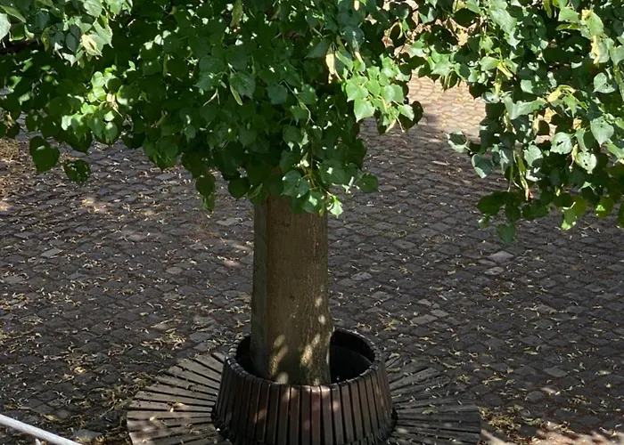 Loft In An Der Mosel Apartamento *